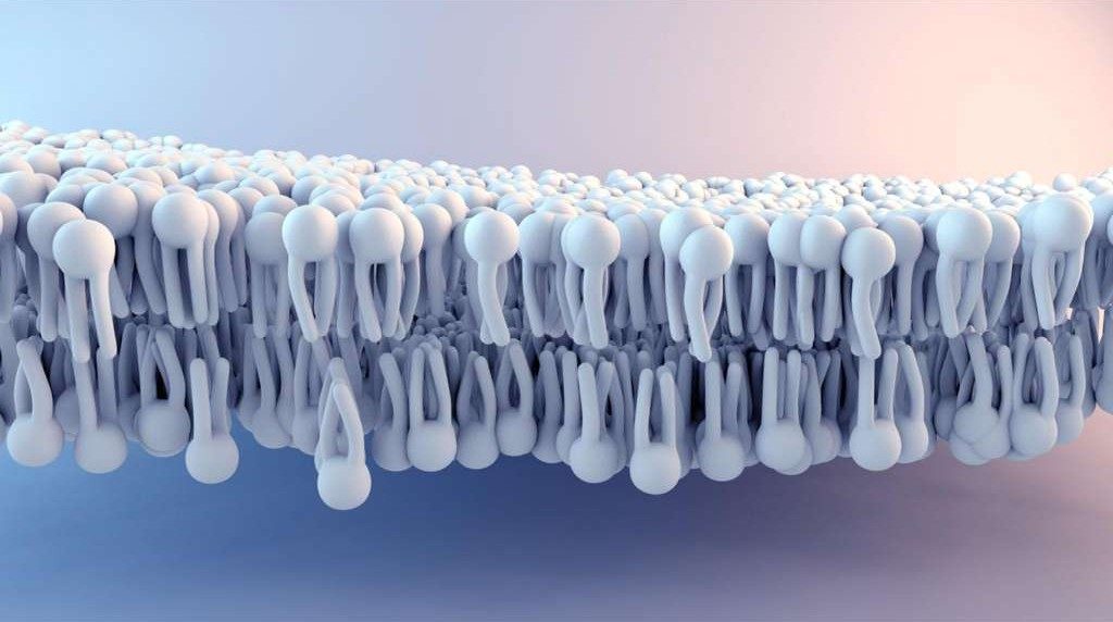 Regenerative science